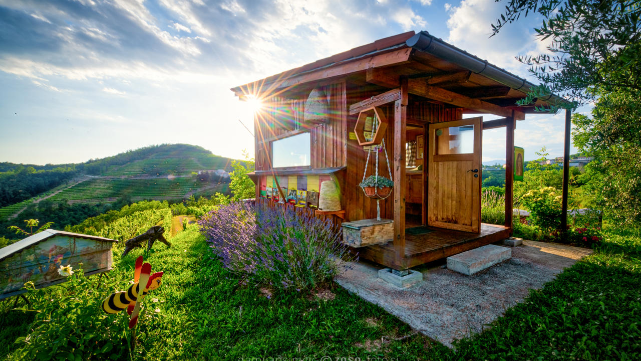 Brda Apitherapy Beekeping