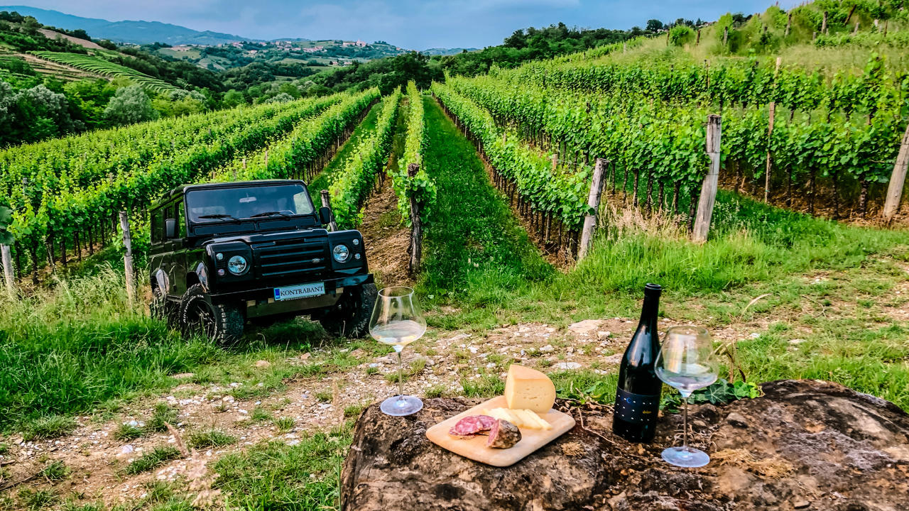 Wine Safari Picnic In A Wineyard