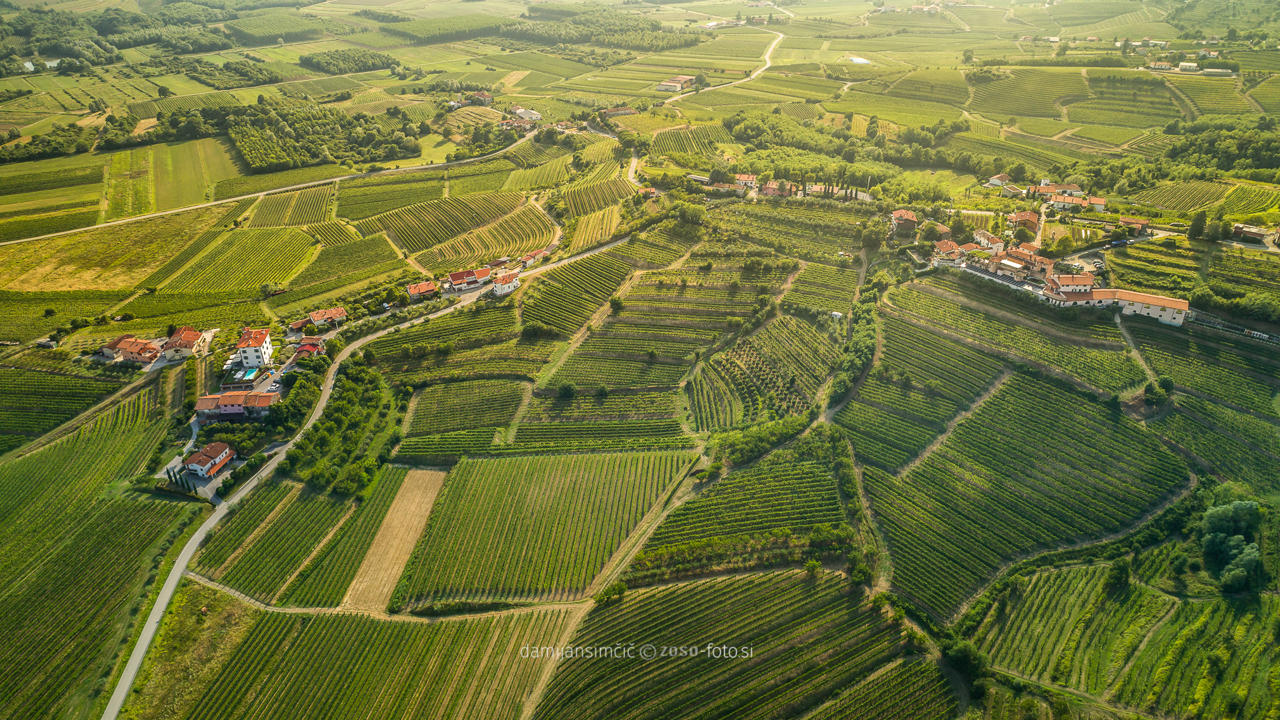 Vipolže Gredič Ceglo Brajde (4 Of 26)