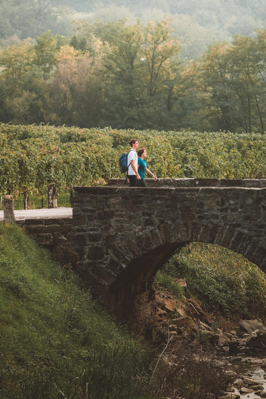 E30 159.Kamniti Most Pri Vinarstvu Čarga