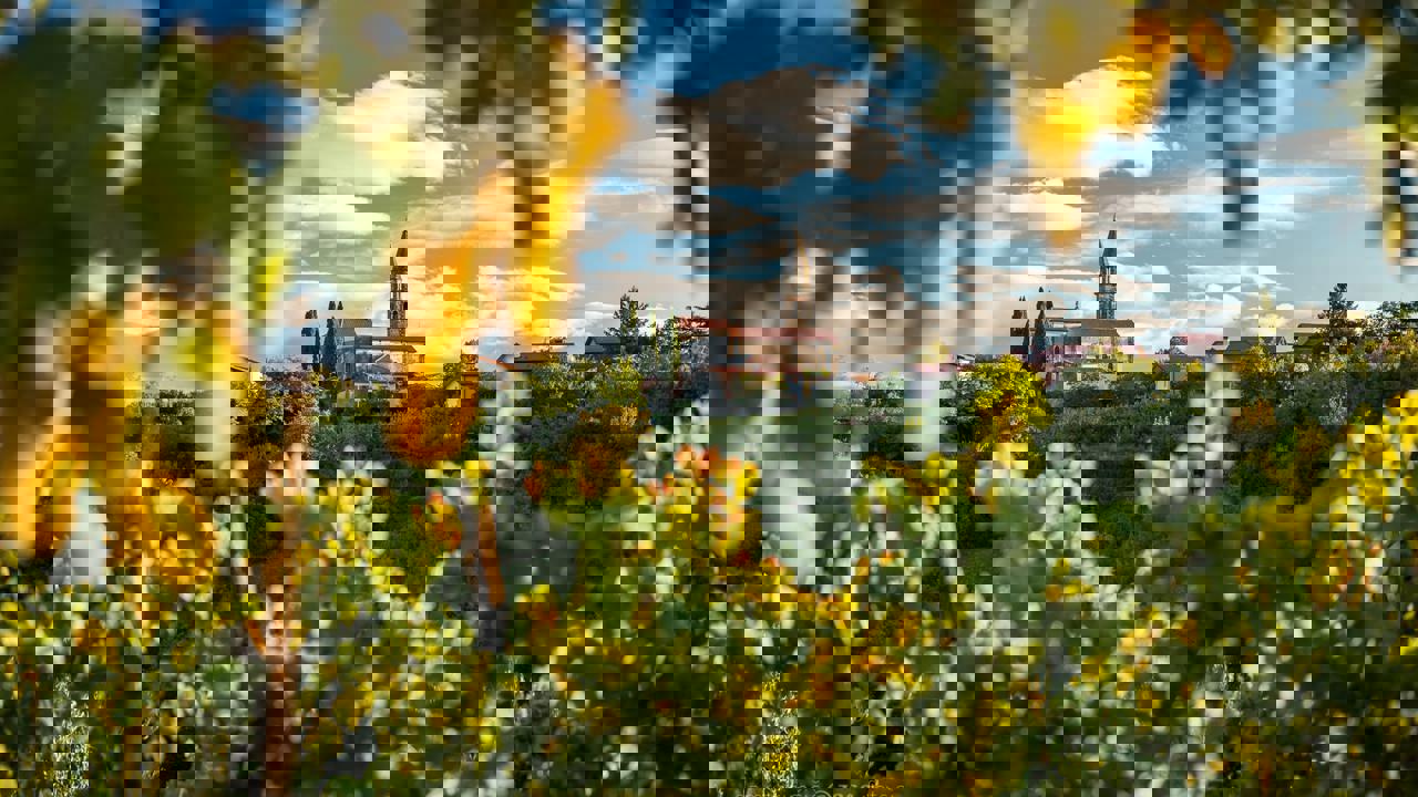 118597650 3226062400805422 5297837874355131683 N